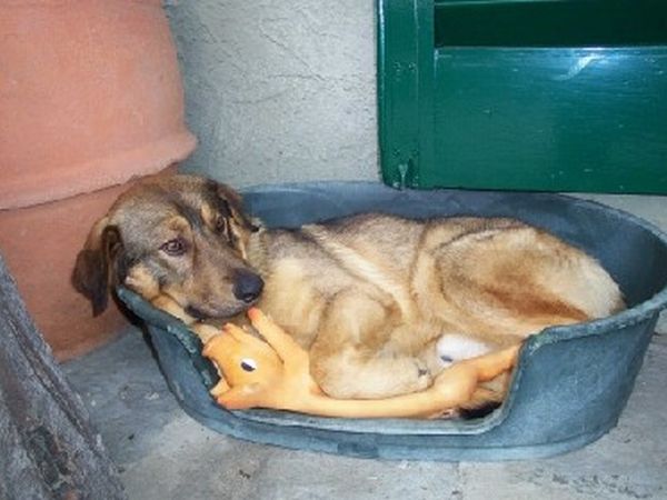 Agriturismo Barbicaio - foto 9828.jpg