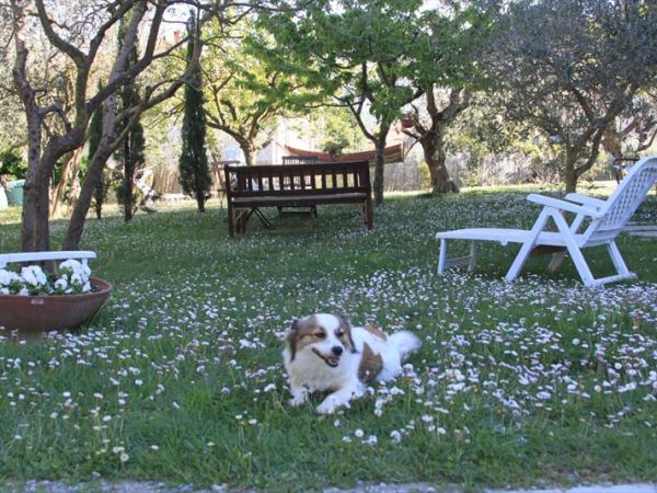 I Cappuccini Bed and Breakfast