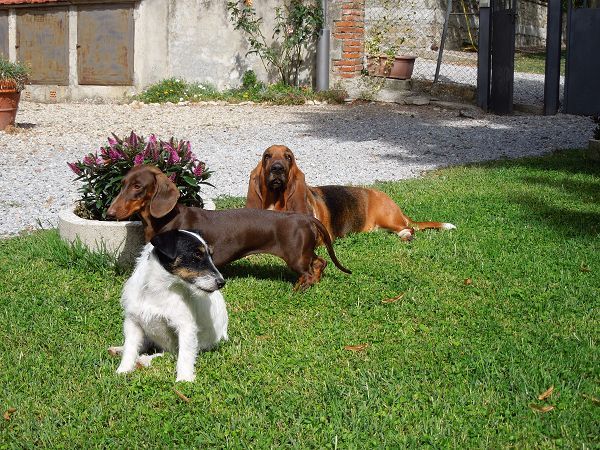 Agriturismo La Pieve
