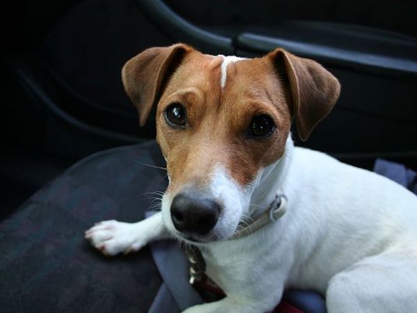 Agriturismo La Dogana