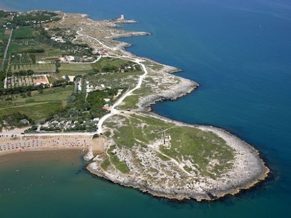 Campeggio Molinella Vacanze