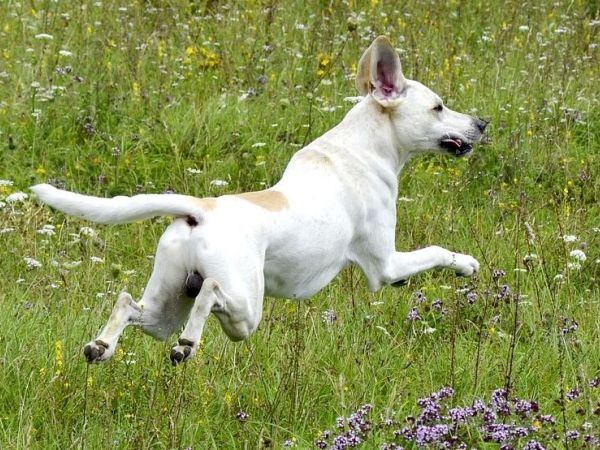 Dolce Grappolo Terme