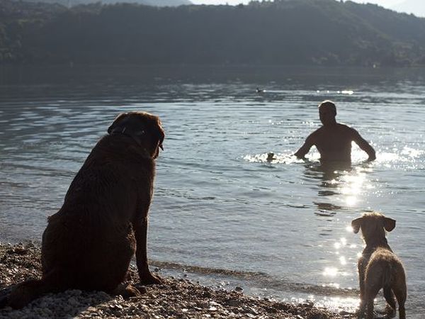Camping Penisola Verde