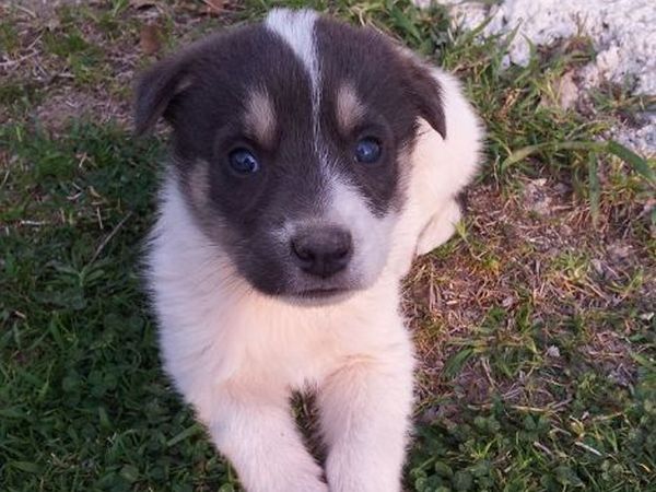 Agriturismo Le Bacche di Ginepro