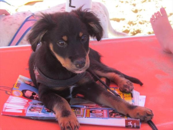 Agenzia Turistica MC