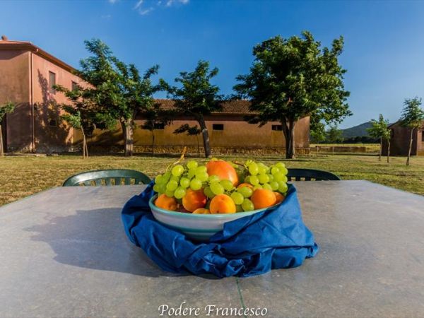 Podere Francesco 