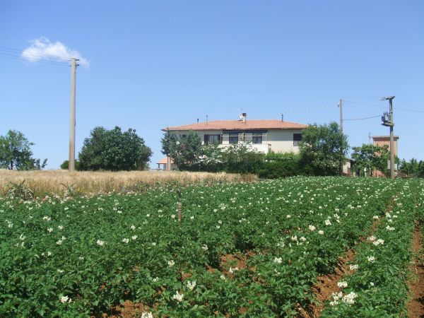 Agriturismo Le Pinete