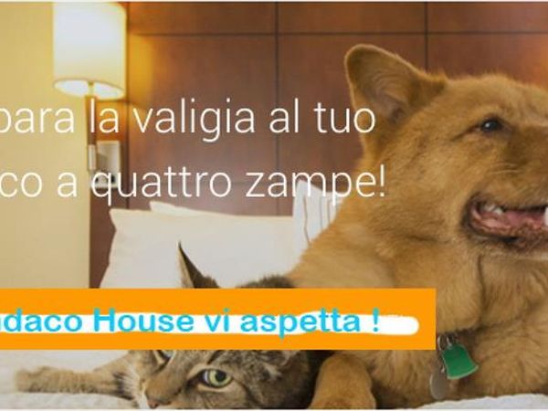 Indaco House 