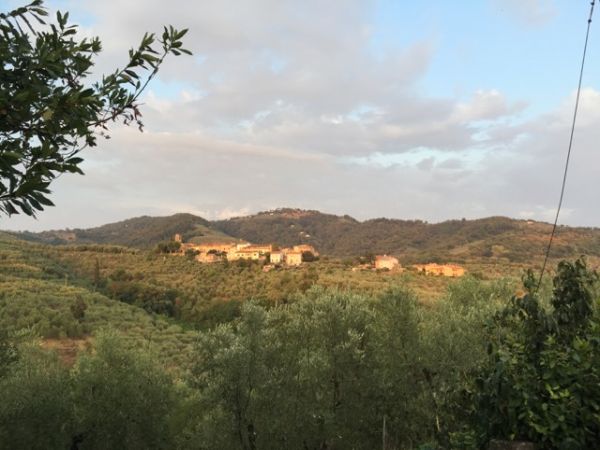 B&B La Vinara
