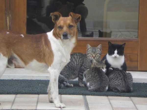 Azienda Agrituristica Valgrande