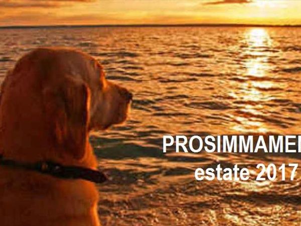 Spiagge Per Cani Trappeto Dog Beach Libere E Attrezzate
