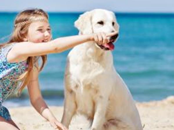 Hotel Royal Giulianova