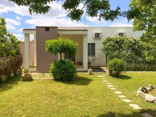 Il grillo e la cicala 