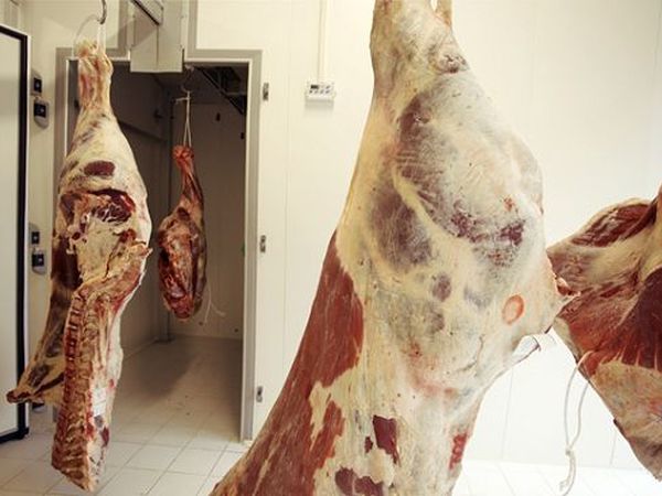 Tenuta di Paganico Opificio - foto 7795.jpg