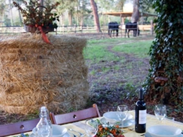 Tenuta di Paganico Opificio - foto 7796.jpg