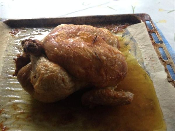 Agriturismo ristorante Oliva Azzurra - foto 8260.jpg