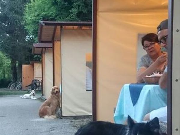 Hotel Sport - foto 8454.jpg