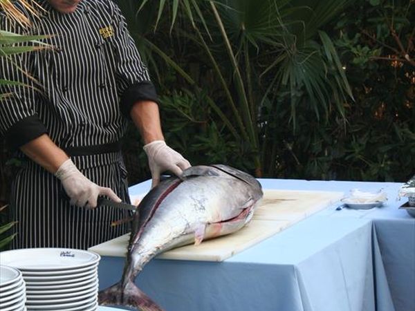 Hotel Caravelle - foto 8492.jpg