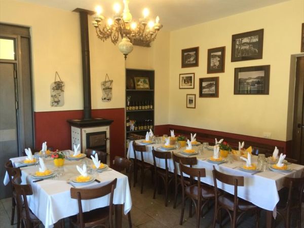 Agriturismo degli Olivi - foto 8576.jpg