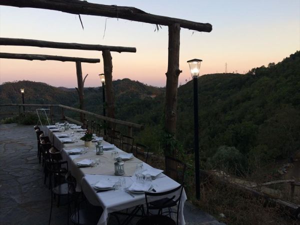 Agriturismo degli Olivi - foto 8580.jpg