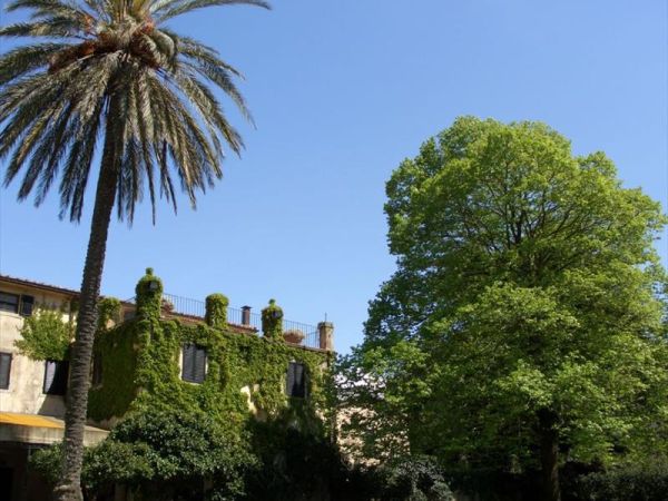 Il Tiglio e la Palma - foto 8648.jpg