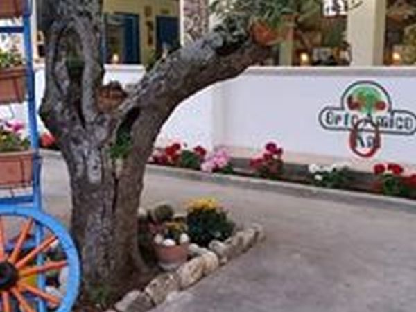 Ristorante e Pizzeria Valle D'Oro - foto 8666.jpg