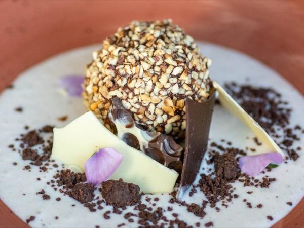 Fattoria Agrituristica la Collina delle Streghe - foto 8674.jpg