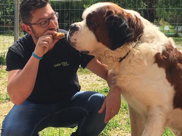 Ristorazione dell' Agriturismo il Podere - foto 8885.jpg