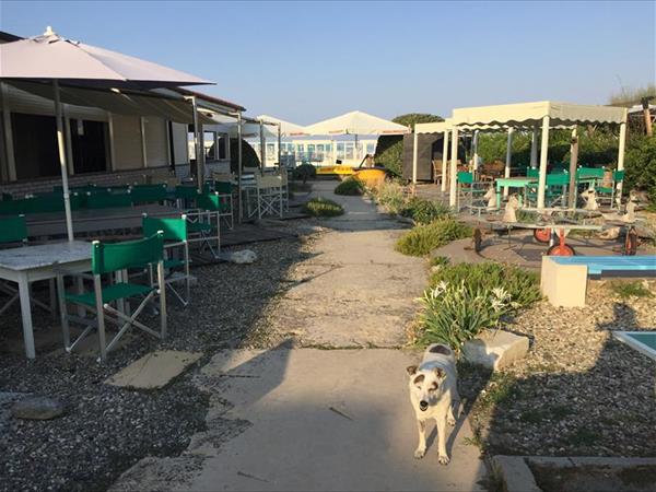 Battelli Bistro - foto 8890.jpg