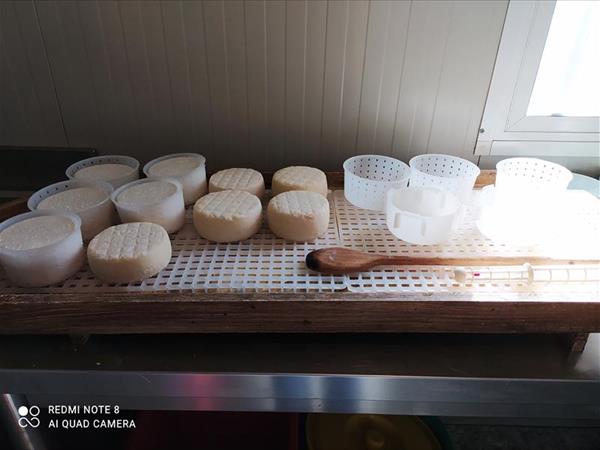 Pane e olio - foto 8904.jpg