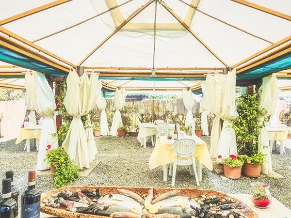 Cavalluccio Marino - foto 9010.jpg