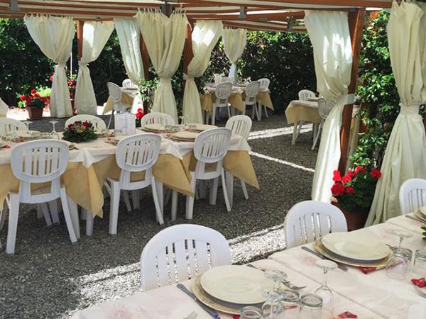 Cavalluccio Marino - foto 9011.jpg