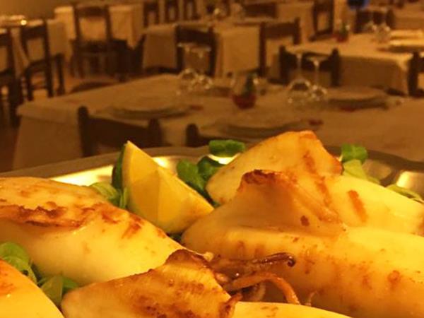 Cavalluccio Marino - foto 9014.jpg